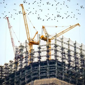 building-768815_1920.jpg